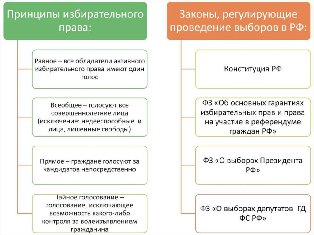 Виды выборов схема