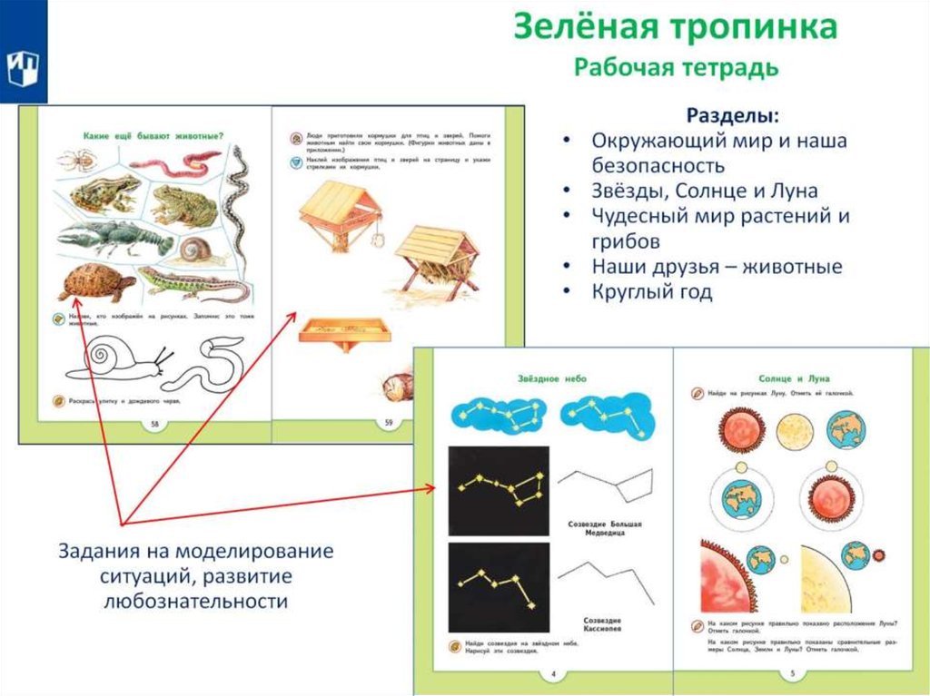 Зеленая тропинка зима презентация