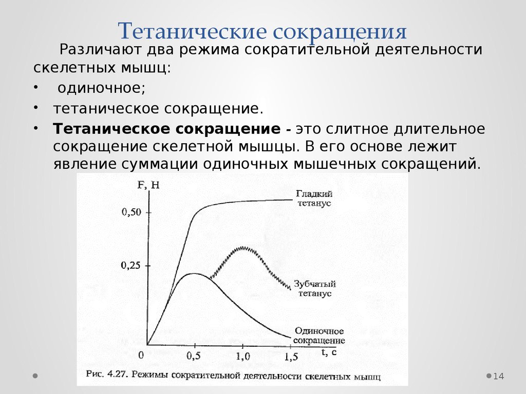 Статические сокращения