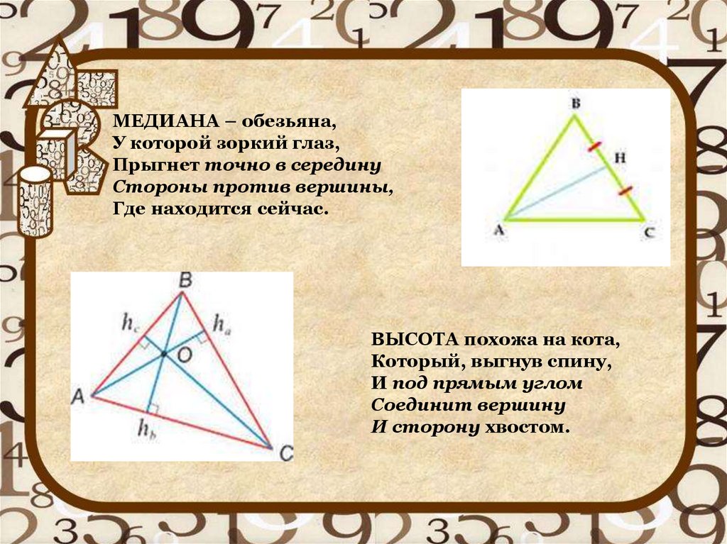 Середина стороны. Медиана это обезьяна. Медиана обезьяна у которой Зоркий глаз. Медиана это обезьяна высота похожа на кота. Медиана обезьяна правило.