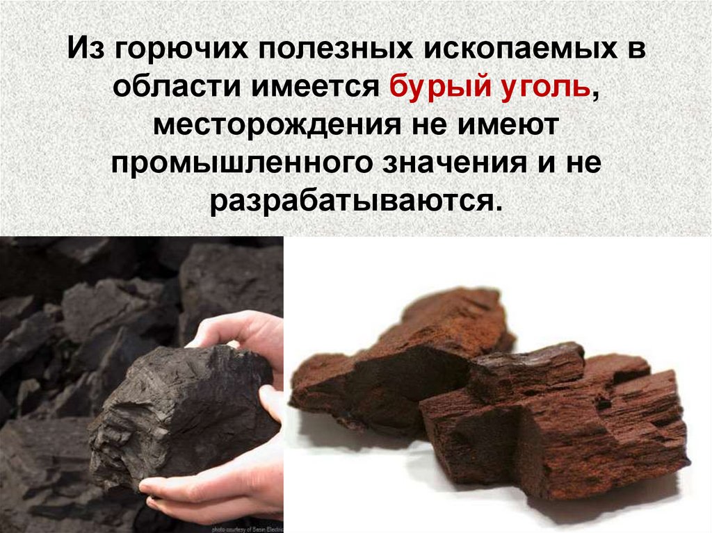 Какие полезные ископаемые в нижегородской области добывают. Горючие полезные ископаемые. Полезные ископаемые уголь. Бурый уголь. Горючие полезные ископаемые уголь.