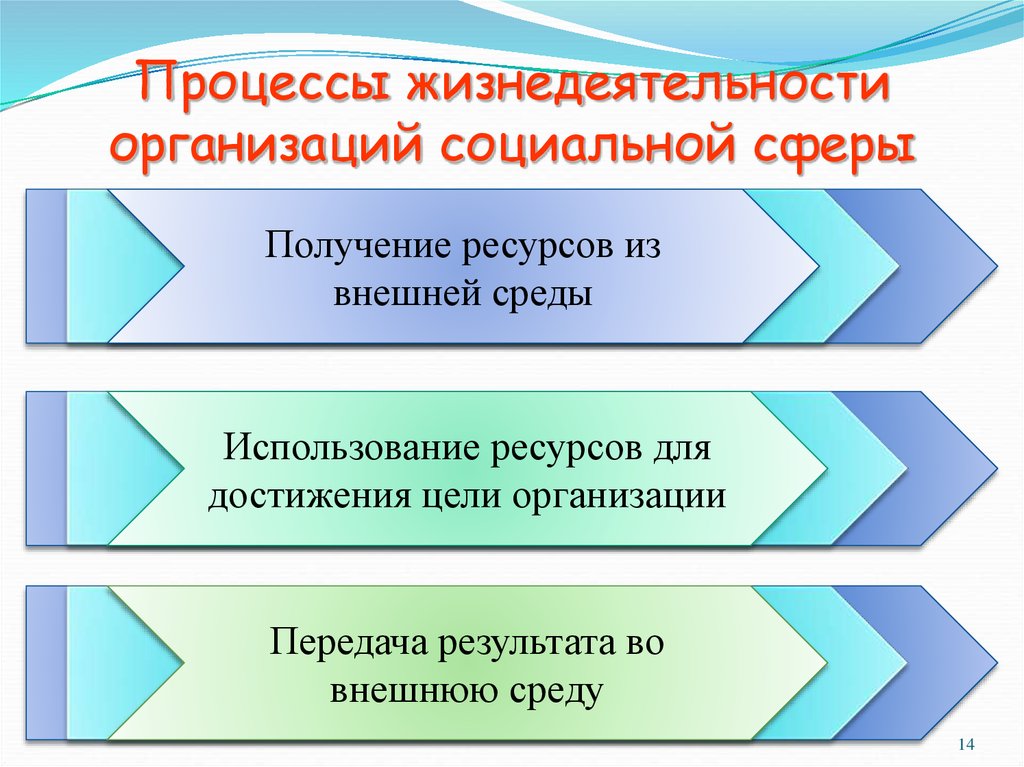 Отрасли социальной сферы. Процессы жизнедеятельности организации. Основополагающие процессы жизнедеятельности организации. Сферы жизнедеятельности организации. Из каких процессов состоит жизнедеятельность организации?.