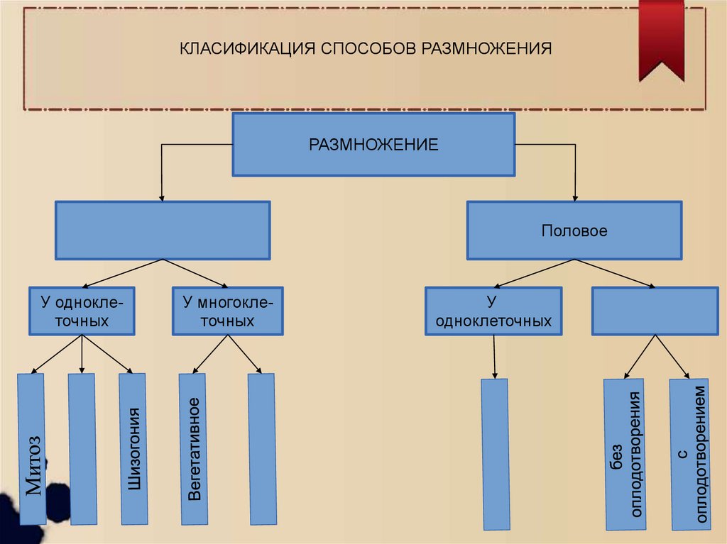 Методическая схема изучения величин