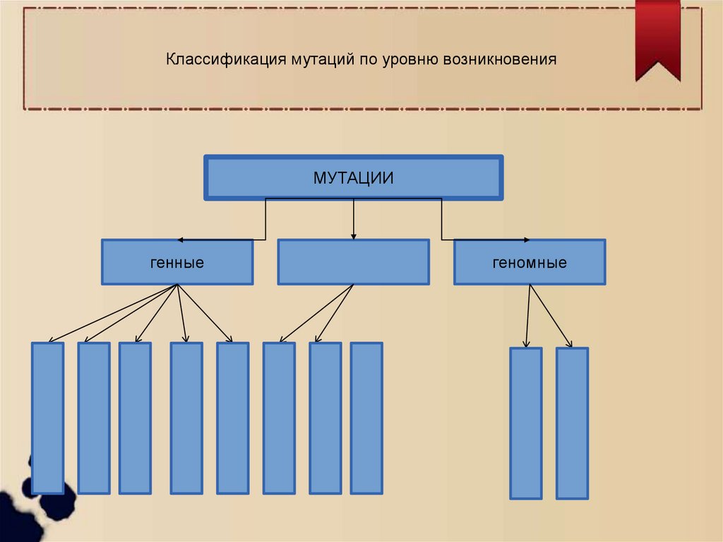 Виды строений