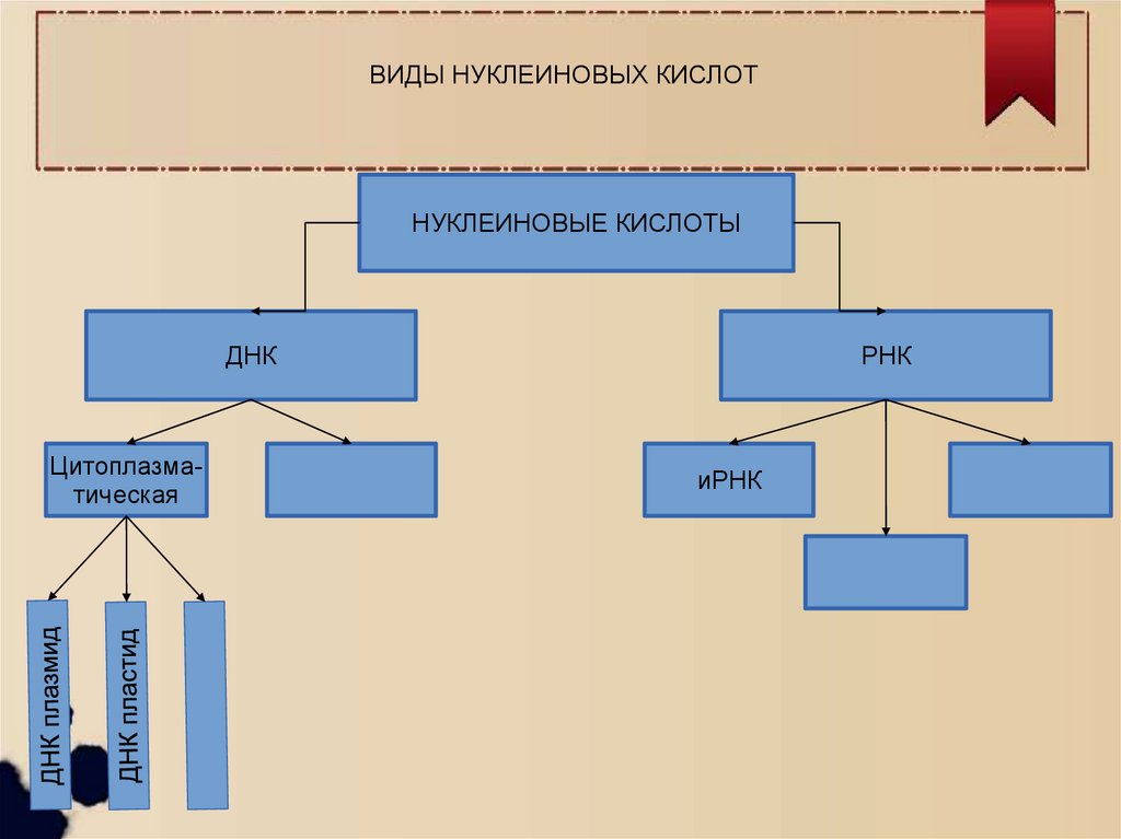 Все виды схем