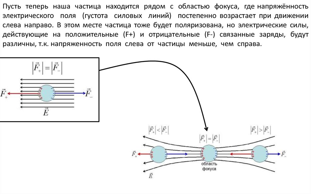 Устройство для получения оптических изображений различных объектов