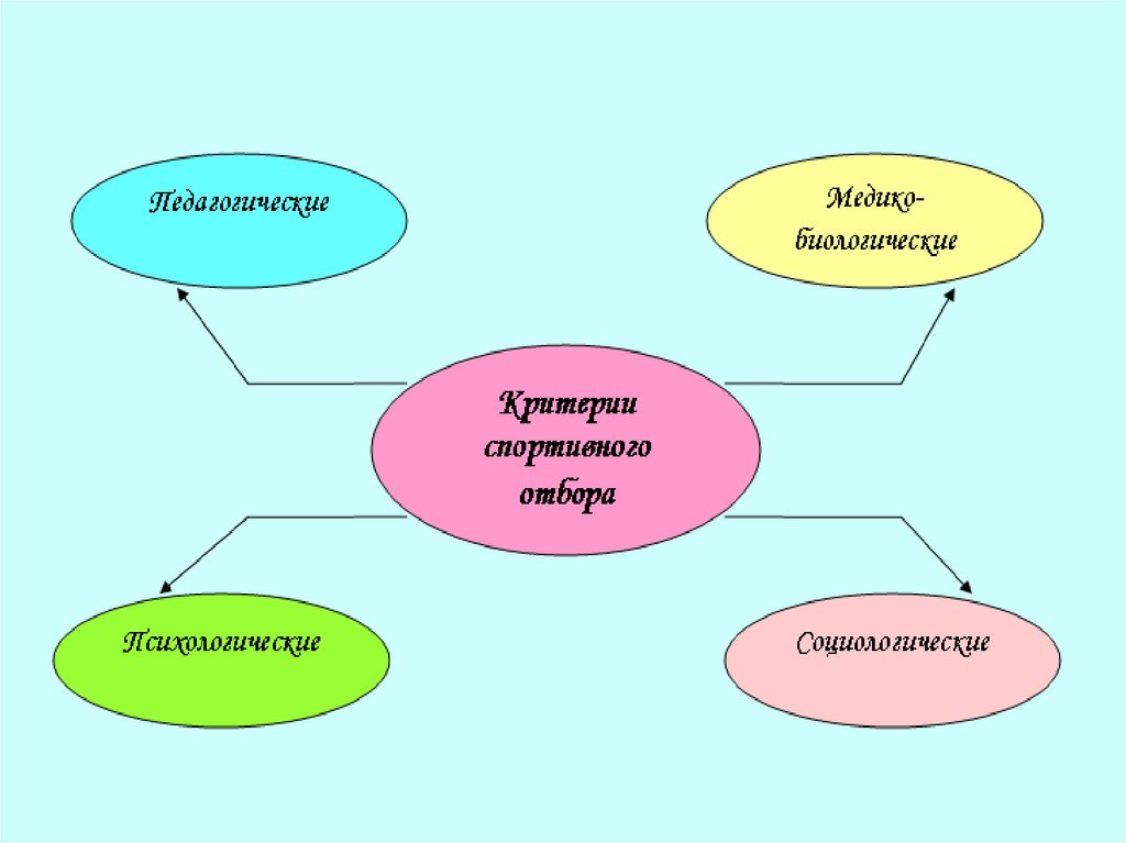 Спортивный отбор и ориентация. Презентация отбор и спортивная ориентация.