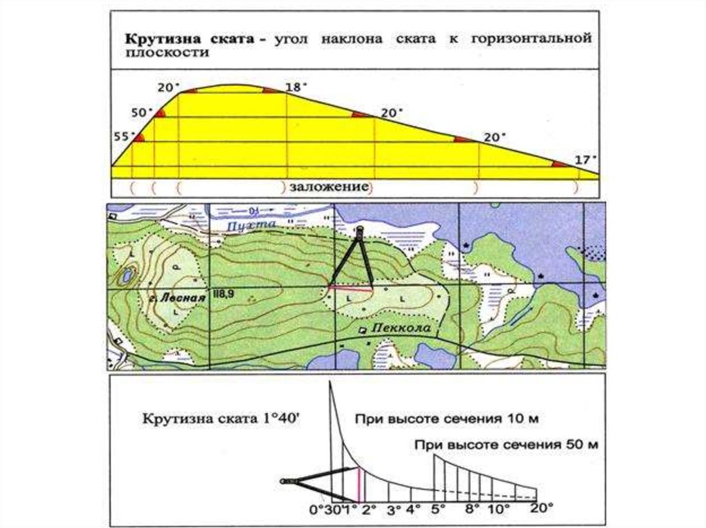 Карта определения высоты местности и профиля высот