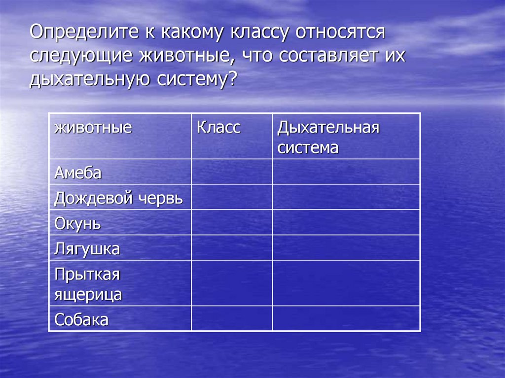 Опишите процесс дыхания у животных по следующему плану название процесса потребности организма