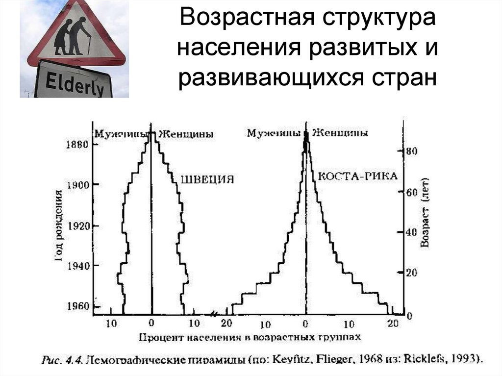 Возрастная структура общества презентация