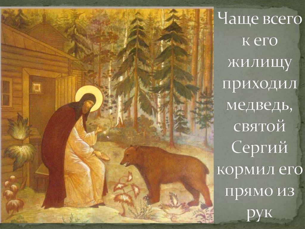 Чаще всего к его жилищу приходил медведь, святой Сергий кормил его прямо из рук