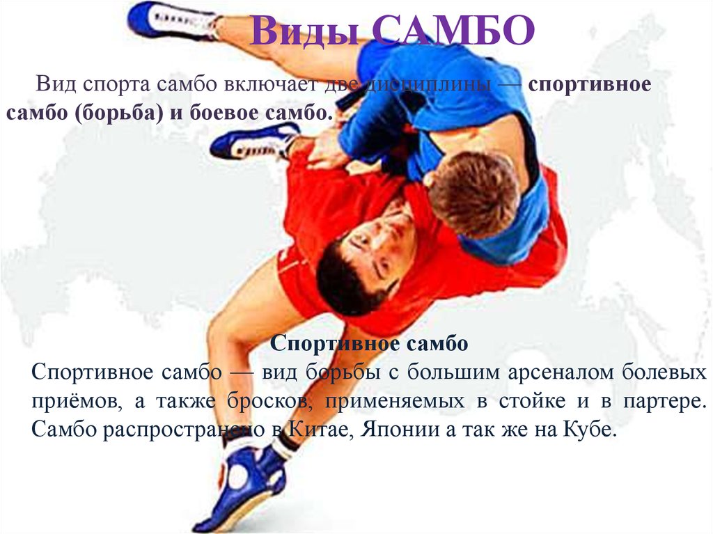 Термины самбо. Самбо вид спорта. Виды борьбы. Самбо национальный вид спорта. Самбо борьба.