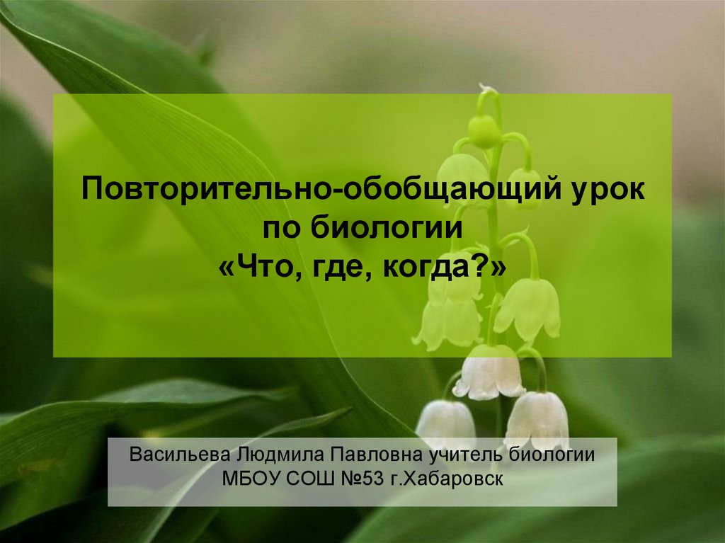 Повторительно обобщающий урок по обществознанию 6 класс презентация