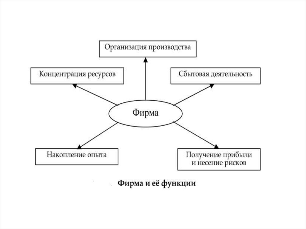 Экономические фирмы. Функции фирмы в рыночной экономике. Функции предприятия в рыночной экономике. Роль фирмы в экономике. Роль фирмы в рыночной экономике.