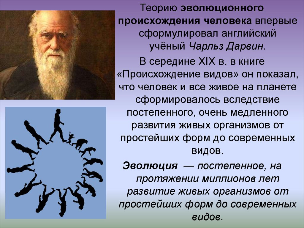 Первой эволюционной теорией является. Происхождение человека. Теории происхождения человека. Эволюционная теория возникновения человека. Гипотезы происхождения человека.