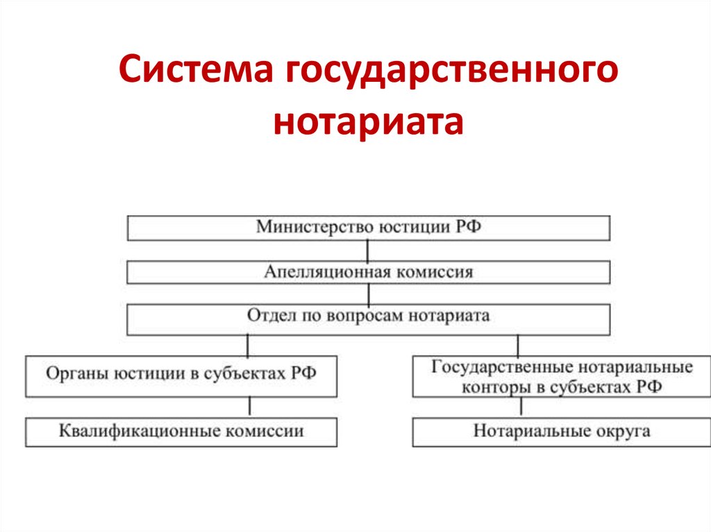 О нотариате утв вс рф. Структура нотариальных органов РФ. Структура нотариата схема.