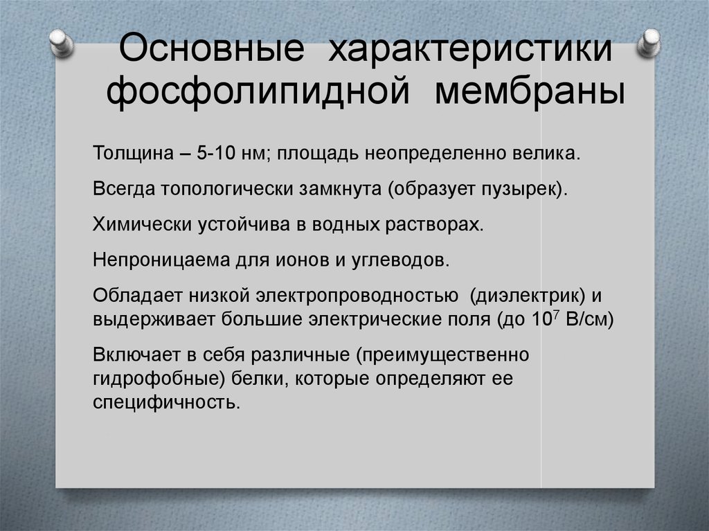 Особенности мембраны