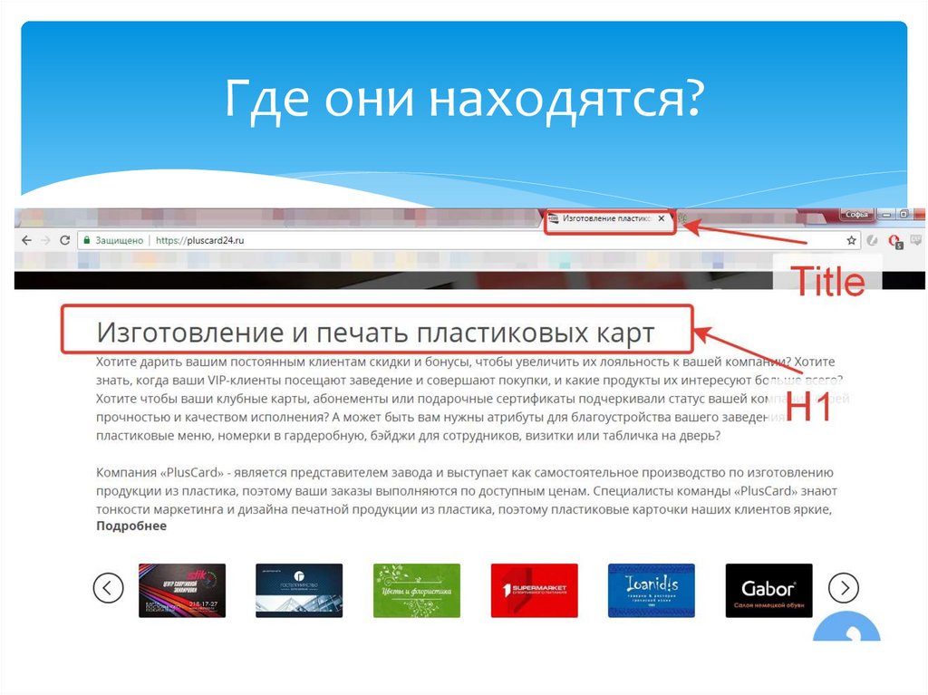 Где они находятся?