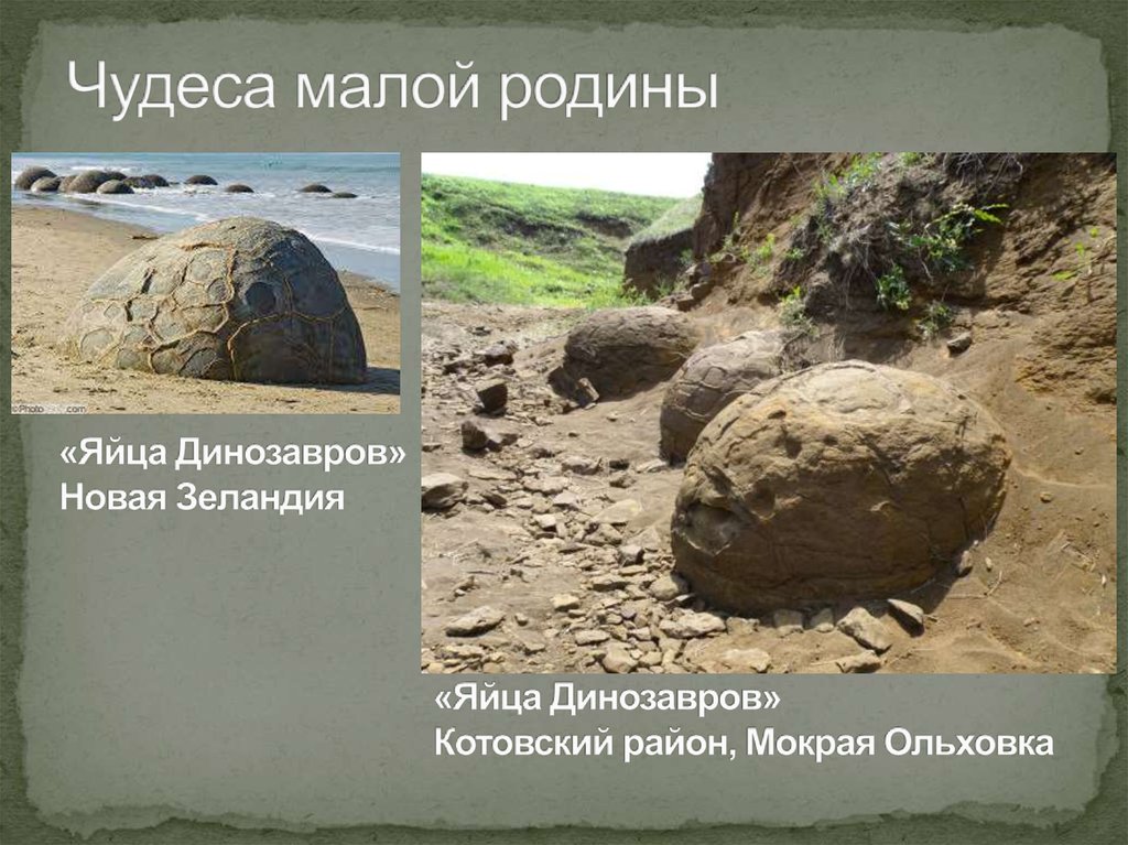 окаменелое яйцо динозавра. мокрая ольховка яйца динозавров. мокрая ольховка яйца динозавров. яйца динозавров ольховка. мокрая ольховка.