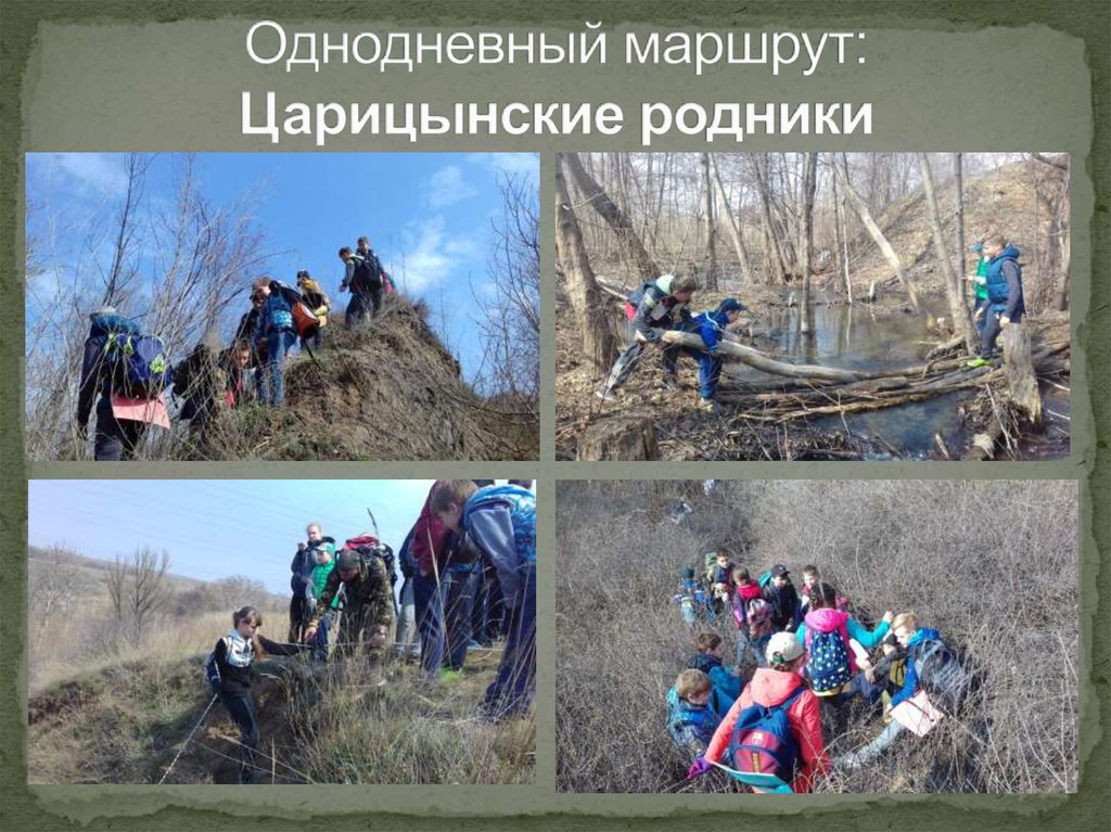 Однодневный маршрут: Царицынские родники