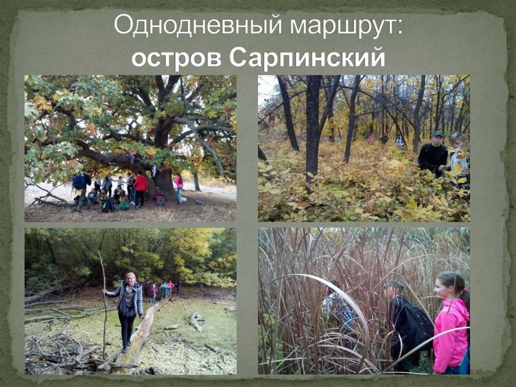 Однодневный маршрут: остров Сарпинский