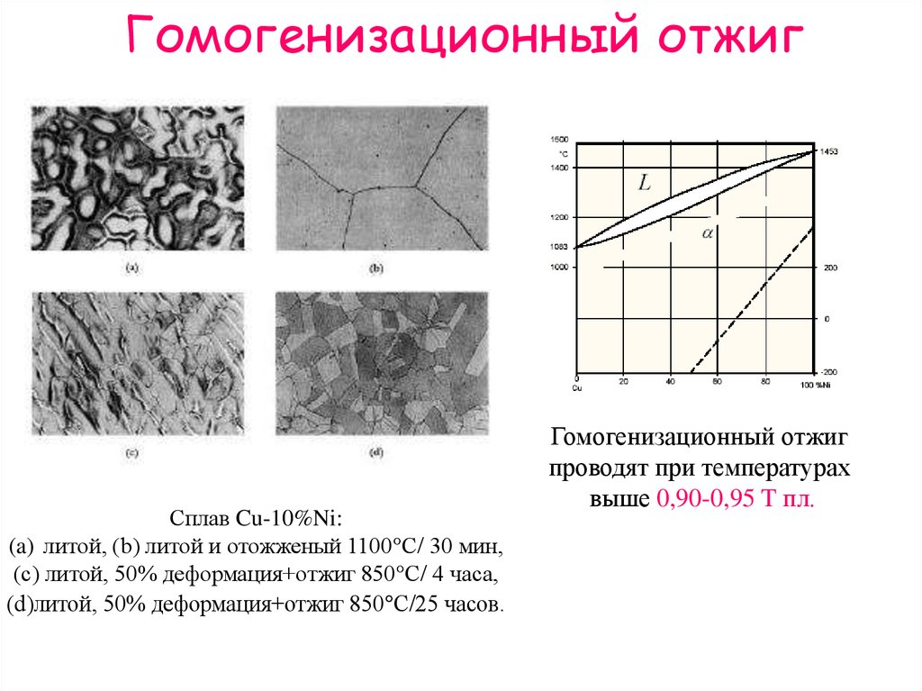 Какая структура представлена на рисунке. Гомогенизационный (диффузионный) отжиг. Отжиг алюминиевых сплавов. Гомогенизационный отжиг алюминиевых сплавов. Гомогенизационный отжиг схема.