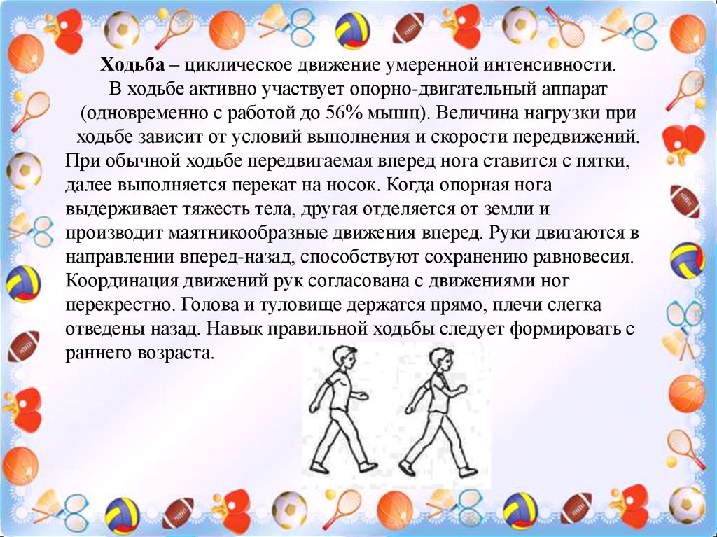 Основные движения. Бег и ходьба в ДОУ. Техника выполнения основных видов ходьбы. Характеристика ходьбы. Виды техники выполнения цикличных движений.