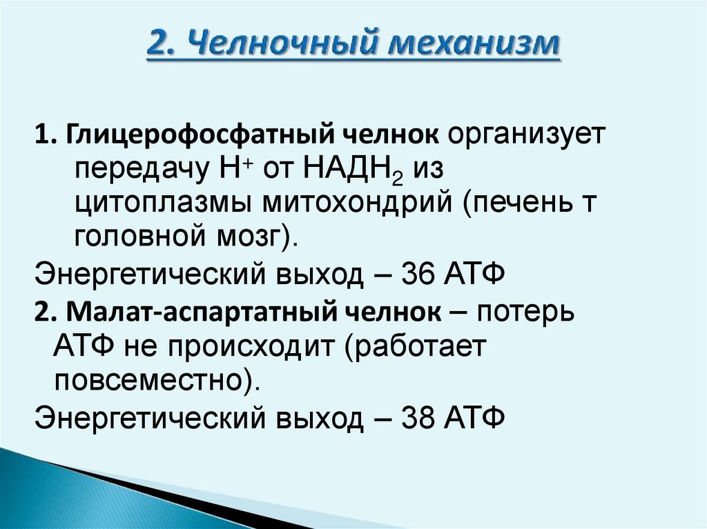 Обеспечивает аэробное окисление углеводов