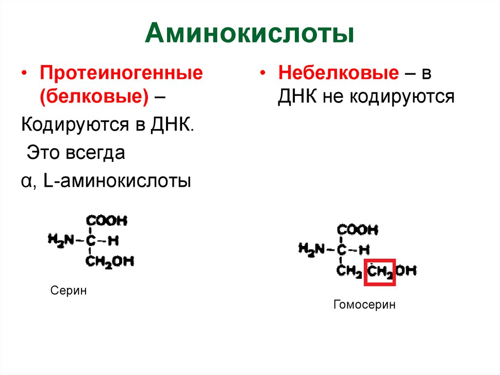 Презентация на тему аминокислоты 10 класс химия