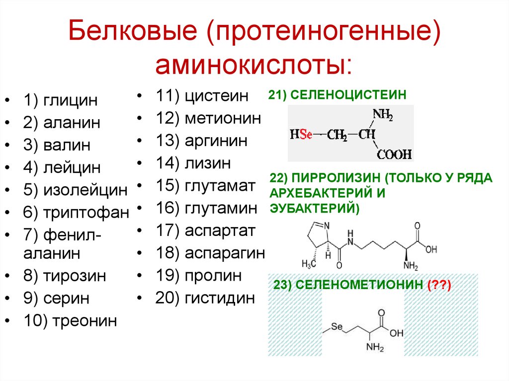 Глицин класс соединений. Белковые протеиногенные аминокислоты. Незаменимые аминокислоты структурные формулы. Общая структура α-аминокислот. Валин строение аминокислоты.