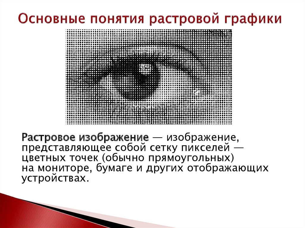 В зависимости от принципа формирования изображений различают 3 вида компьютерной графики