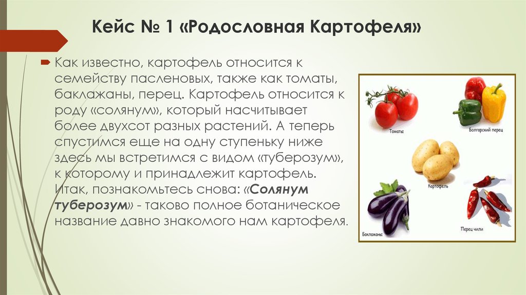 К какому семейству относится перец. Семейство пасленовых(картофель, томат, баклажан). Перец семейство пасленовых. Картофель томат баклажан относят к семейству. Семейство Пасленовые картофель.