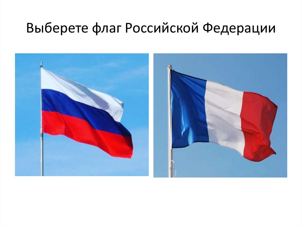 Новый флаг России. Выбери флаг России. Флаг России выборы. Флаг России для выборов.