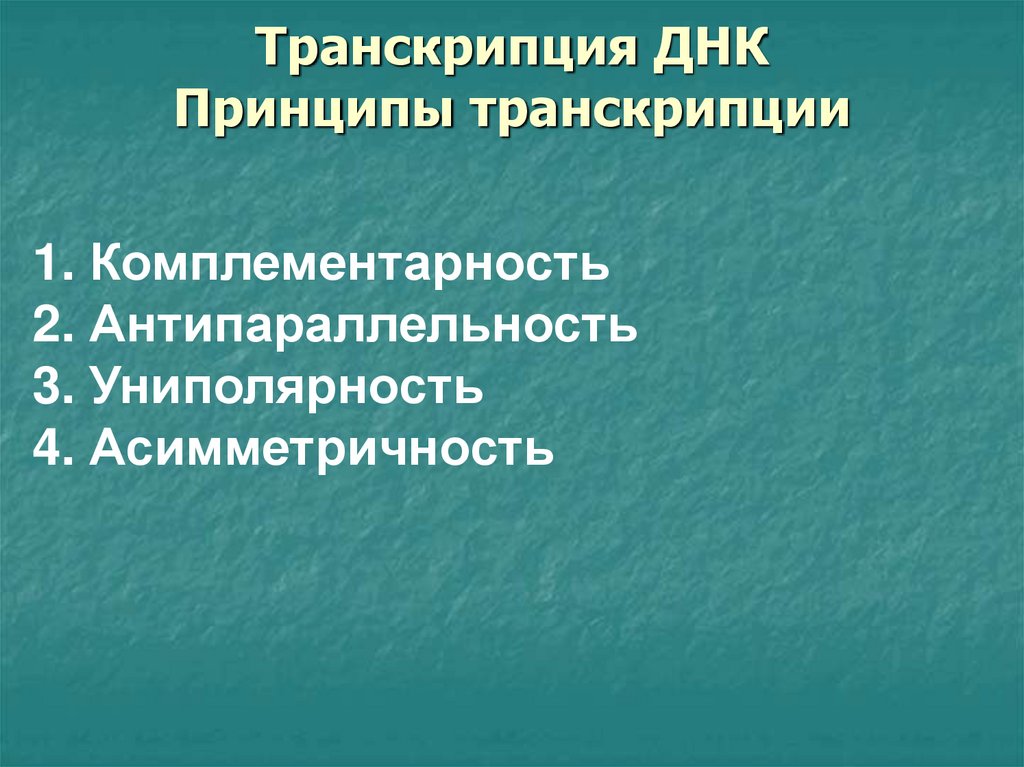 Принципы днк