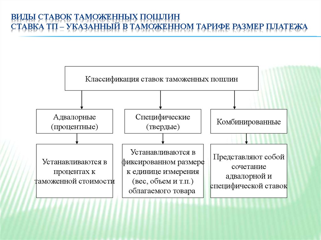 Составьте схему виды ставок и распишите их