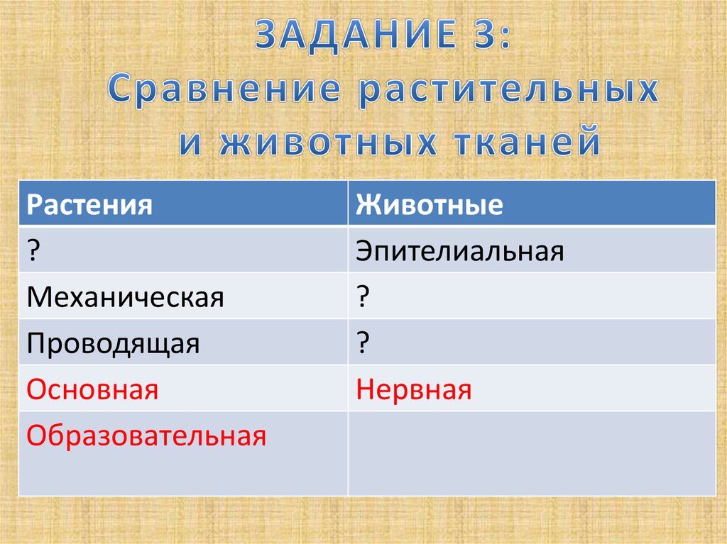 Сходство растительной. Сравнение растительных и животных тканей. Сходство растительной и животной ткани.