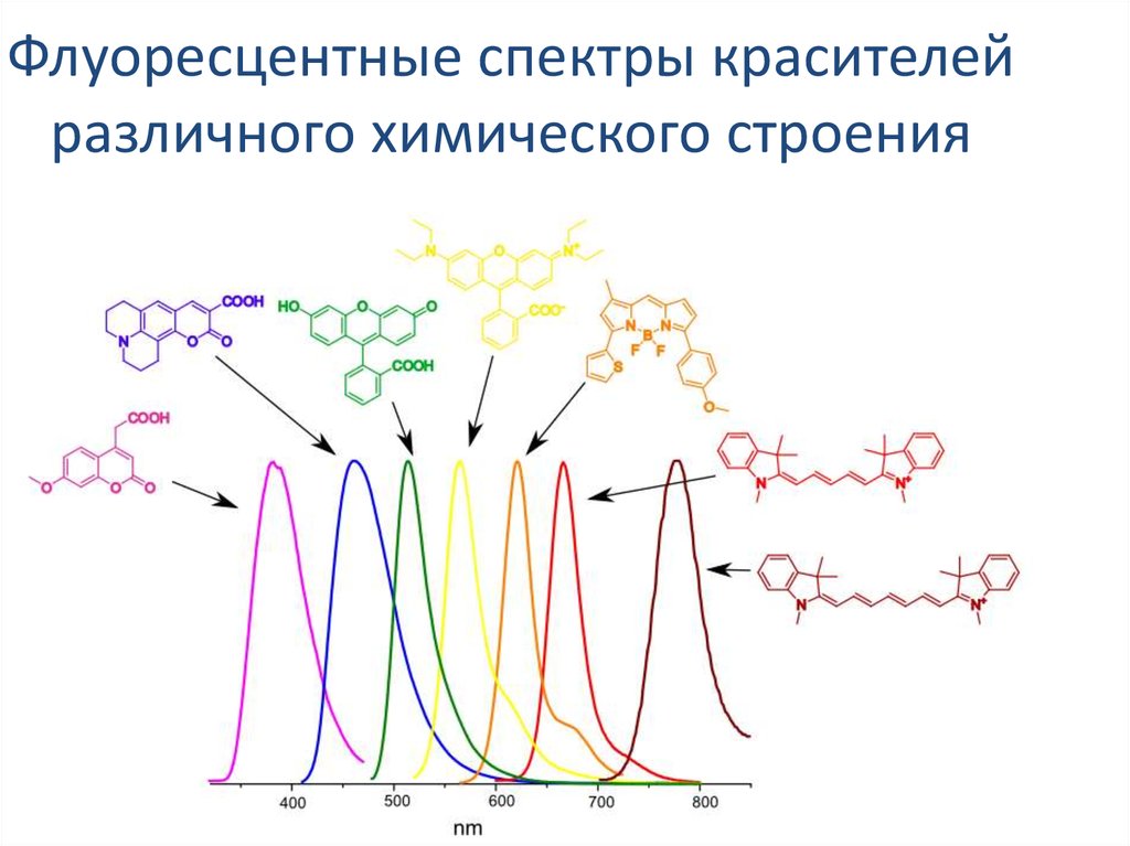 Флуоресцентные спектры красителей различного химического строения