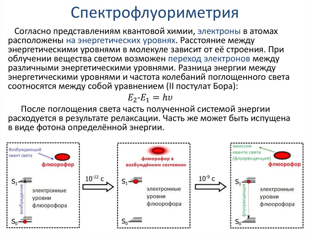 Принципиальная схема спектрофлуориметра