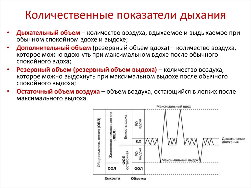 Характеристики вдоха