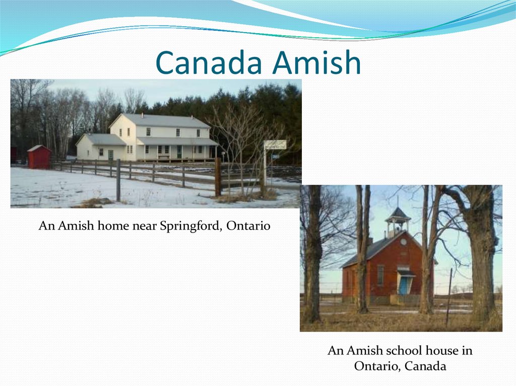 Amish America презентация онлайн