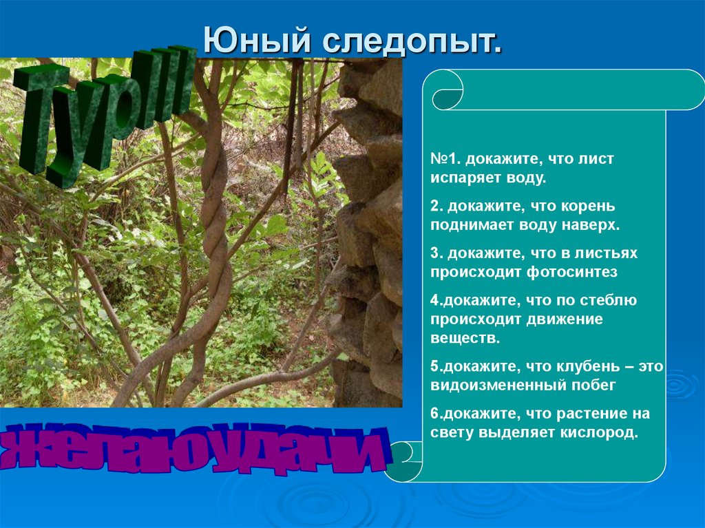 Доказательство побега. Следопыт для презентации. Кто такие следопыты. Юный Следопыт. Следопыт определение.