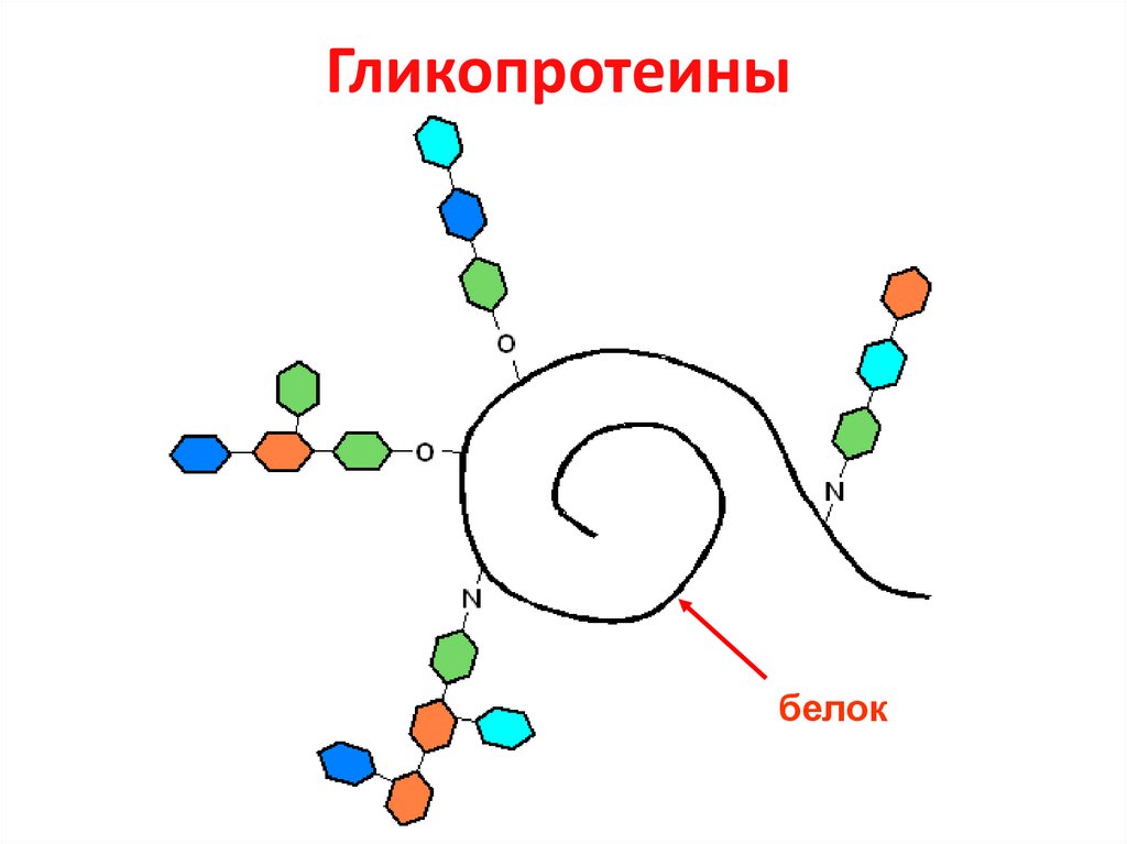 Бета 2 ые