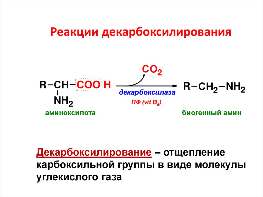 Декарбоксилирование аминокислот реакция
