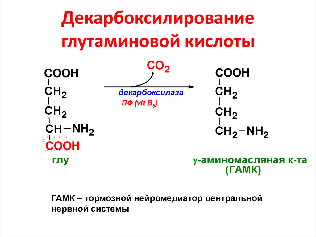 Кислоты образуются в результате превращений. Декарбоксилирование глутаминовой кислоты. Декарбоксилирование 2-аминопентандиовой кислоты. Декарбоксилирование аминокислот ГАМК. Продукт декарбоксилирования глутаминовой кислоты.