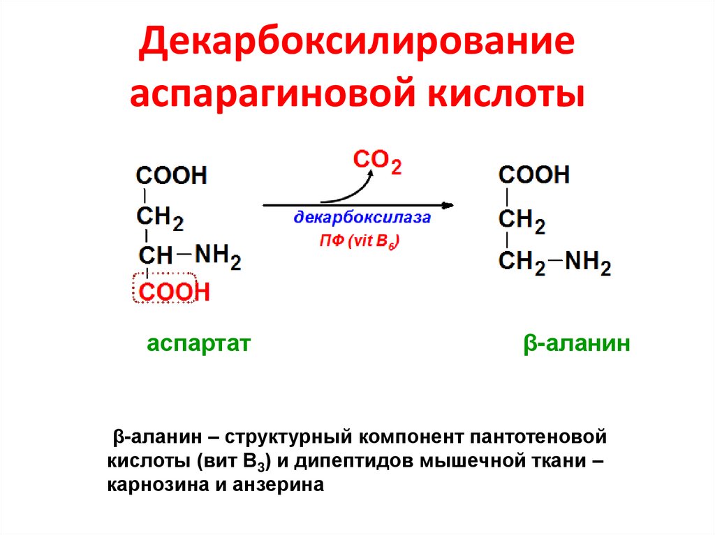 Декарбоксилирование аспарагиновой кислоты