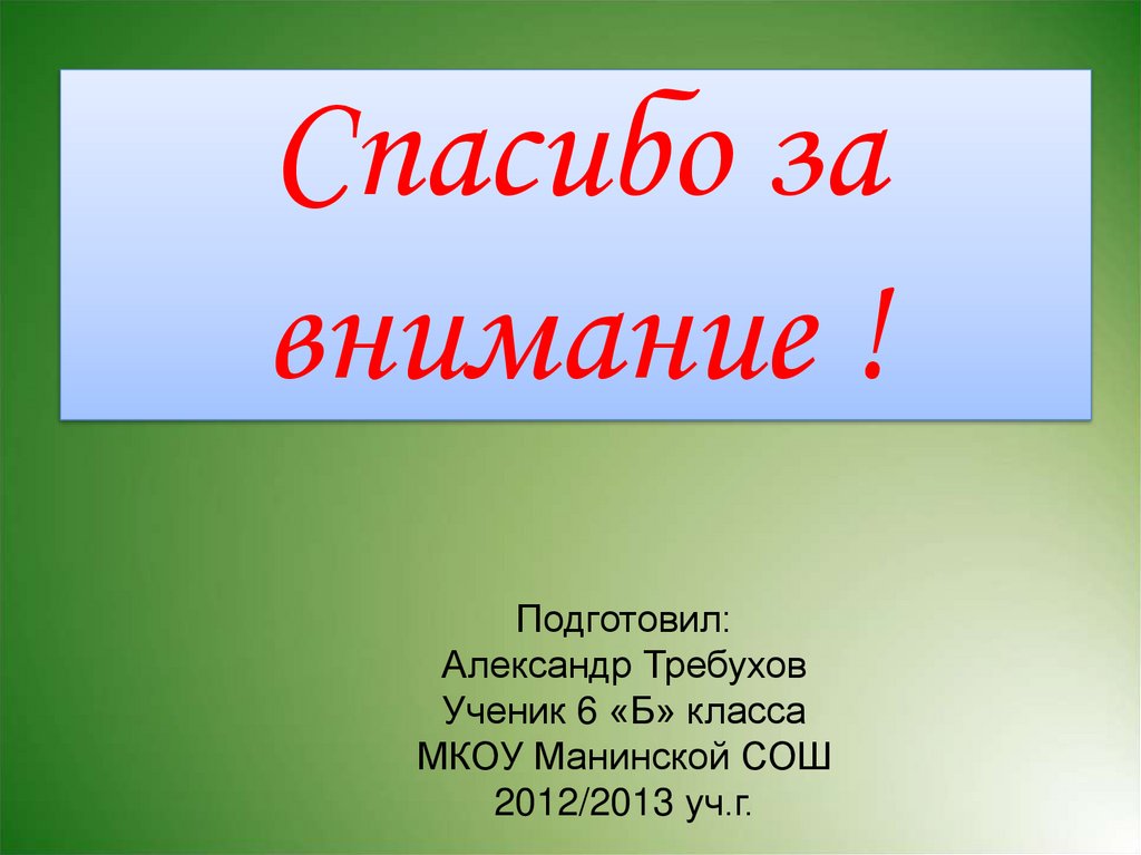 Спасибо за внимание !