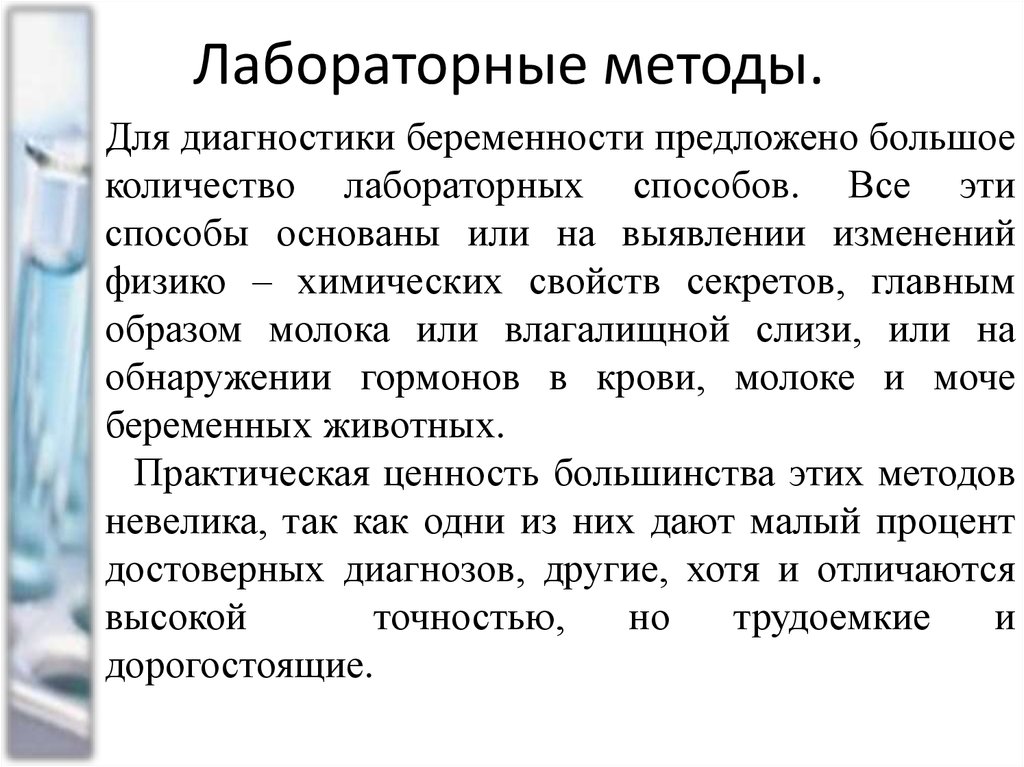 Презентация диагностика беременности акушерство