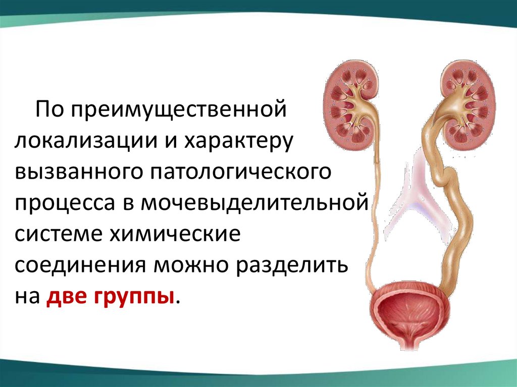 Уход за больными с заболеваниями почек и мочевыводящих путей презентация