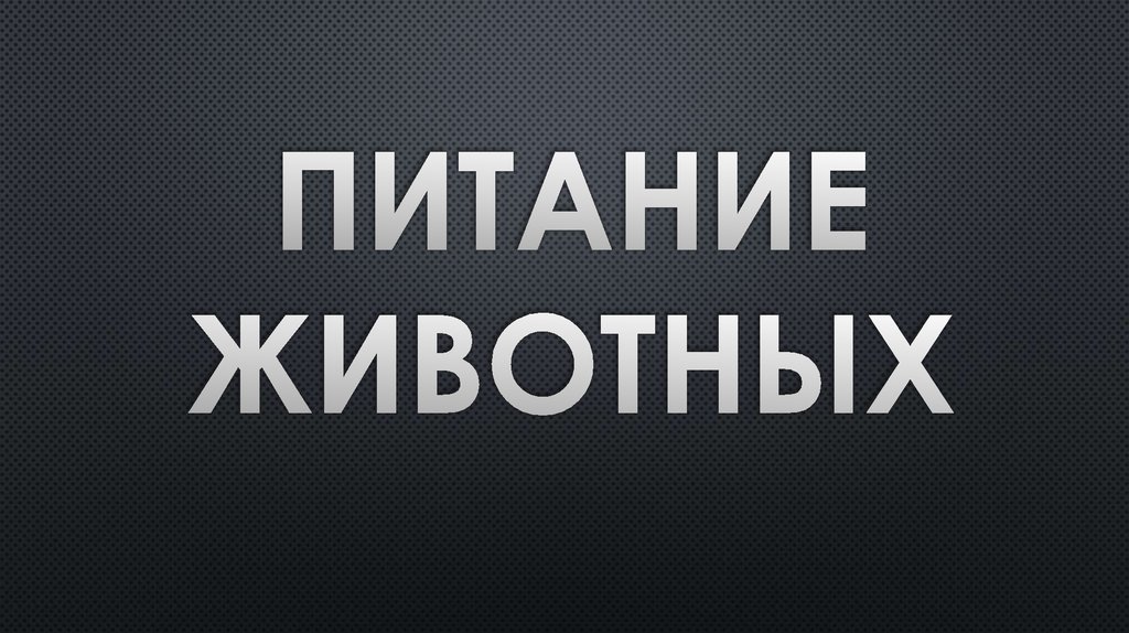Питание животных