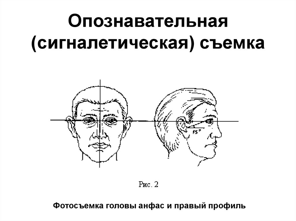 Опознавательная карта криминалистика пример